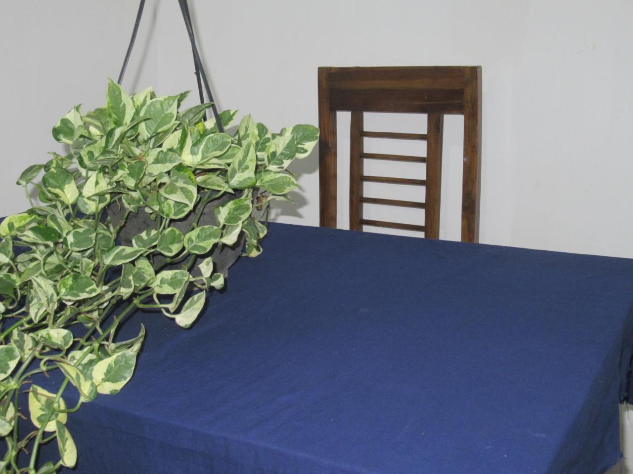 Timasha Home Stay Тангалла Экстерьер фото