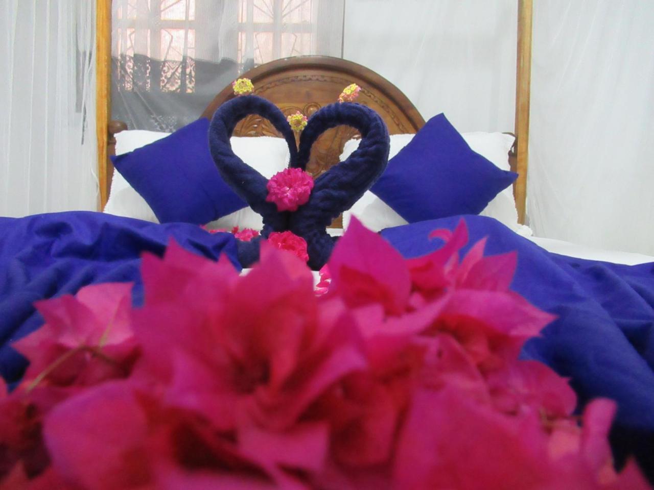 Timasha Home Stay Тангалла Экстерьер фото