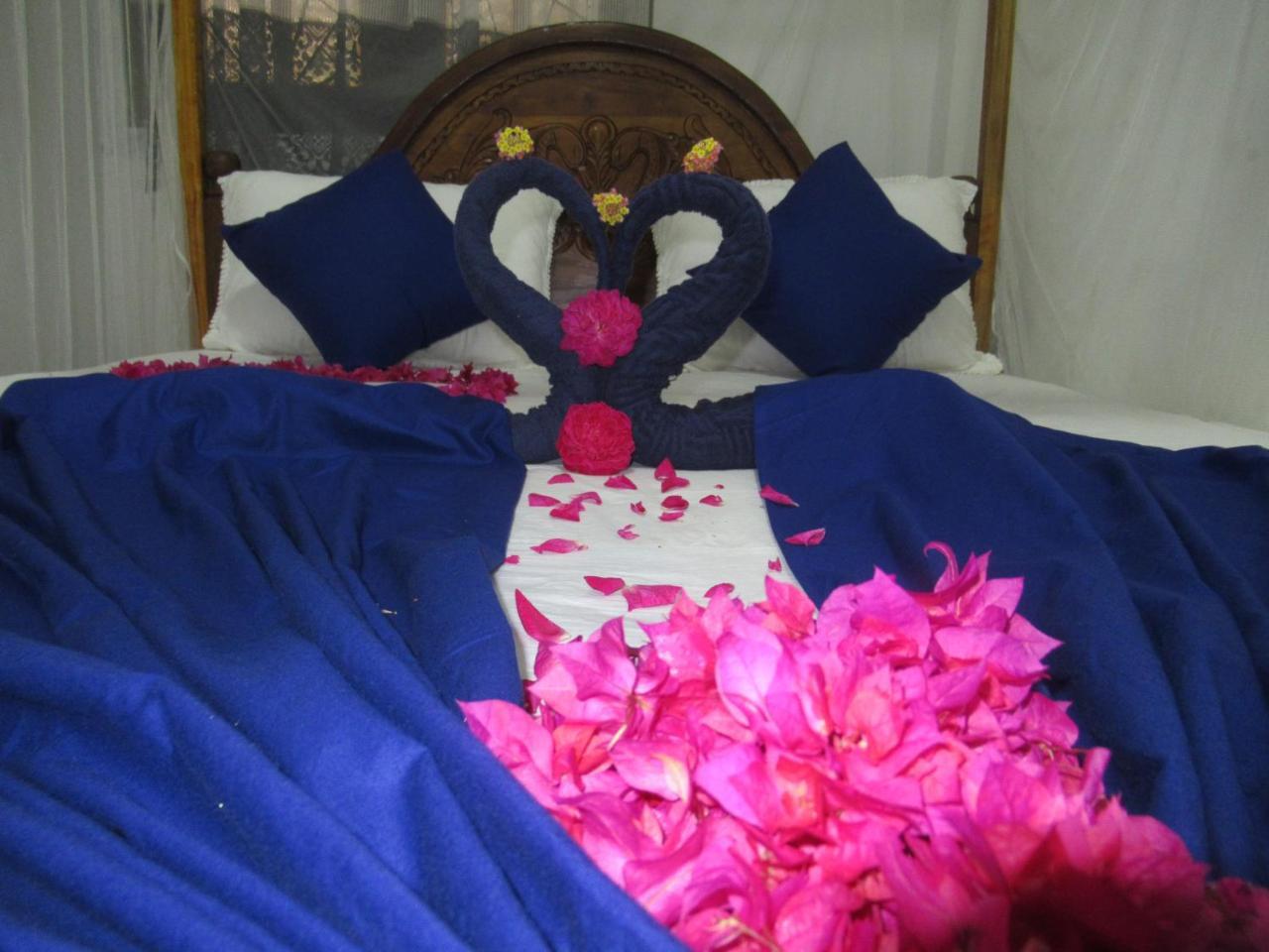 Timasha Home Stay Тангалла Экстерьер фото